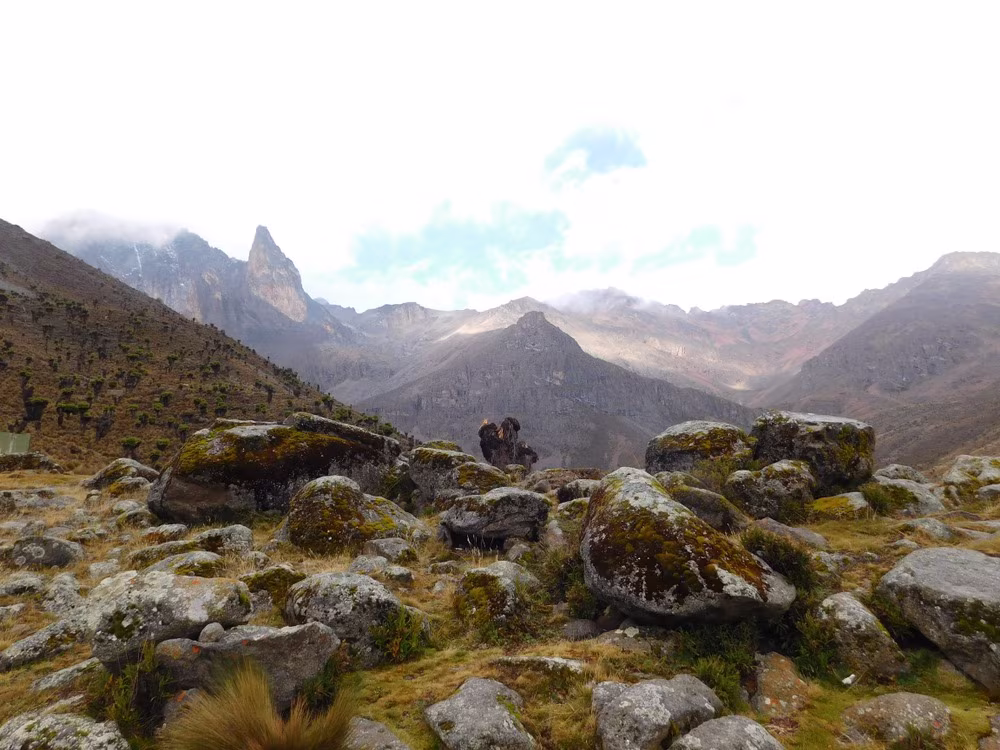 Aufstieg zum Mount Kenya und zum Kilimanjaro